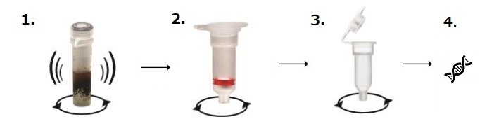 Quick-DNA Fungal/Bacterial MicroPrep/MiniPrep Kit（#D6105）
